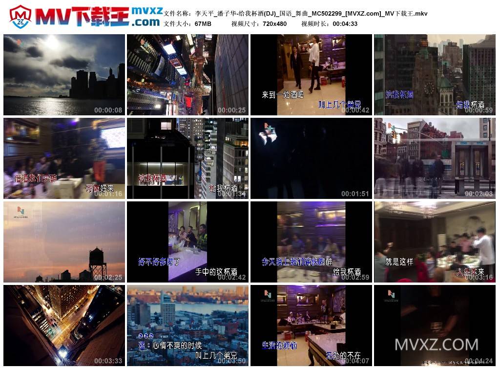 李天平_潘子华-给我杯酒(DJ)_国语_舞曲_MC502299
